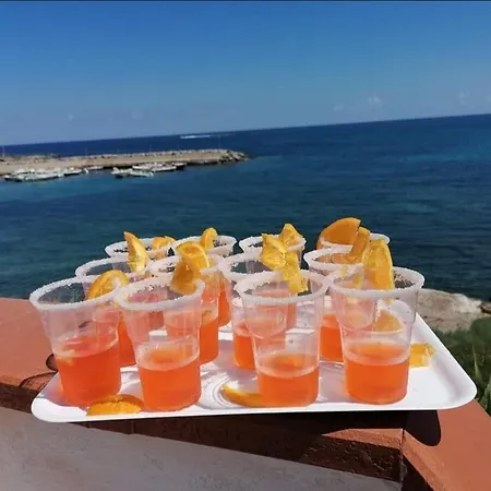 招待所 La Terrazza Sul Mare Appartamento Con Terrazza Vicino Aereoporto&Mare Sicilian Vintage Style Beach House 奇尼斯