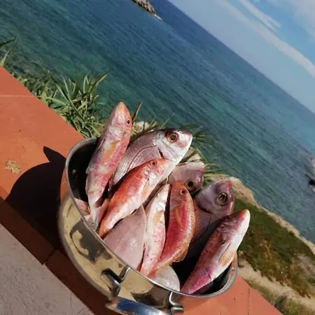 게스트하우스 La Terrazza Sul Mare Monolocale Con Terrazza Vicino Aereoporto&mare Sicilian Vintage Style House 3*